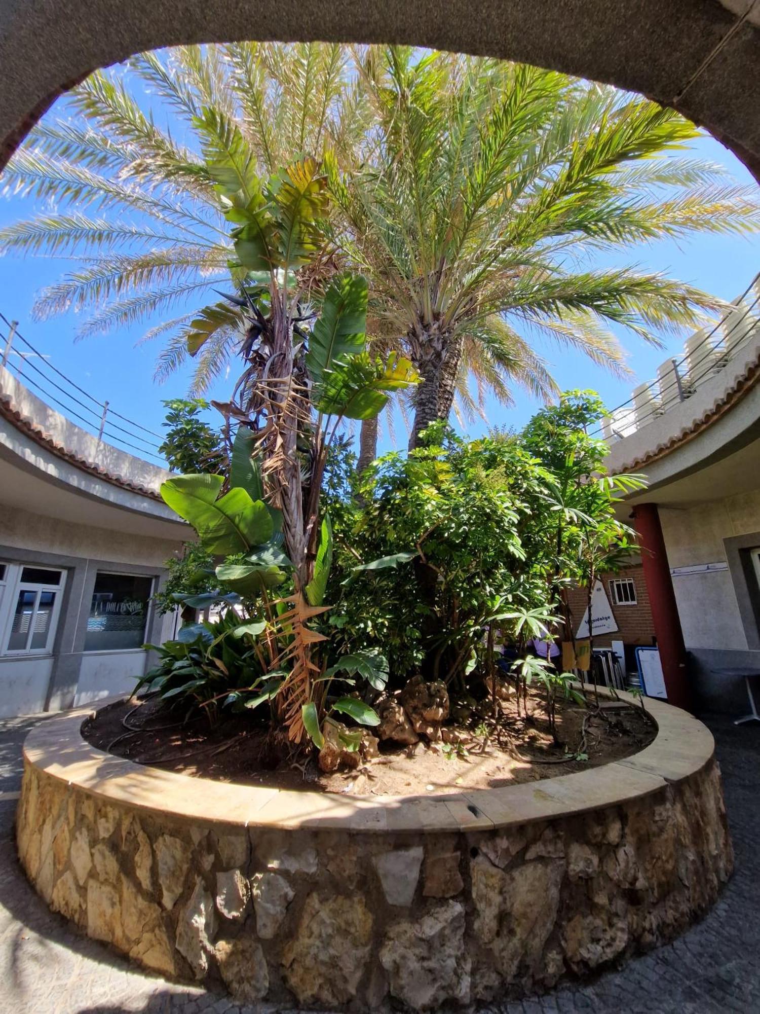 Apartamento Barbacoa, Piscina Y Playa Puebla de Farnals Εξωτερικό φωτογραφία